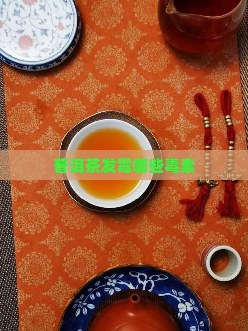 普洱茶发霉哪些毒素