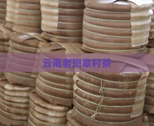 云南老班章村茶