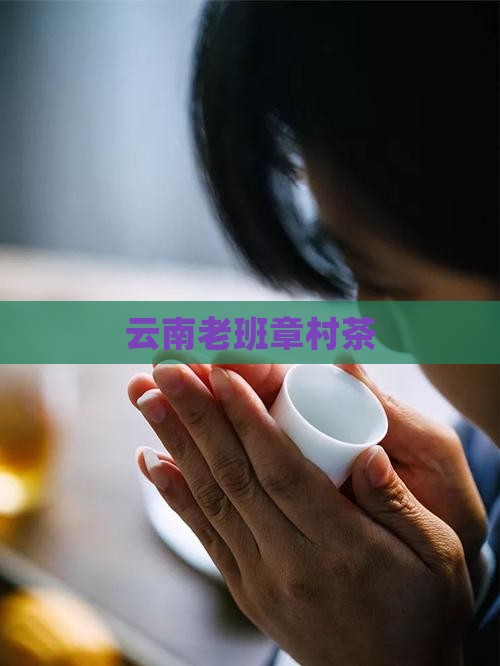 云南老班章村茶