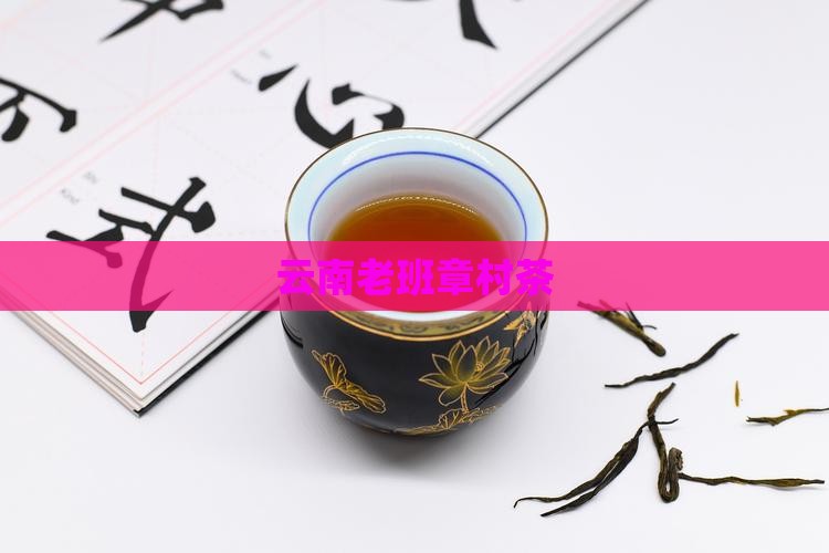 云南老班章村茶