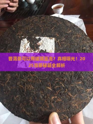 普洱茶可以用玻璃壶泡