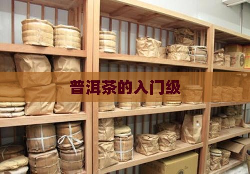 普洱茶的入门级