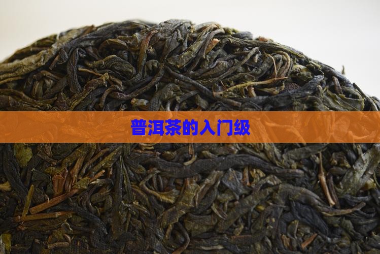 普洱茶的入门级