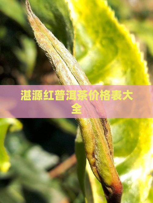 湛源红普洱茶价格表大全