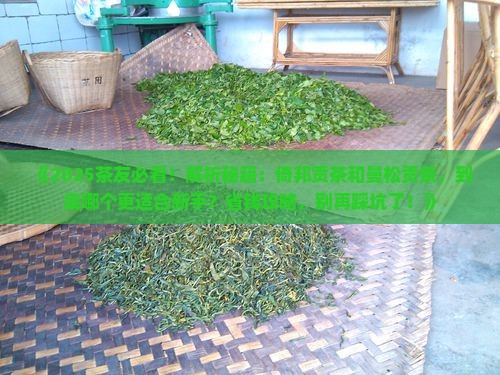 倚邦贡茶和曼松贡茶