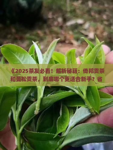倚邦贡茶和曼松贡茶