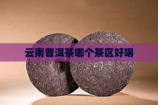 云南普洱茶哪个茶区好喝