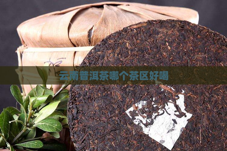 云南普洱茶哪个茶区好喝