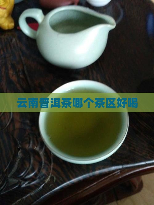 云南普洱茶哪个茶区好喝