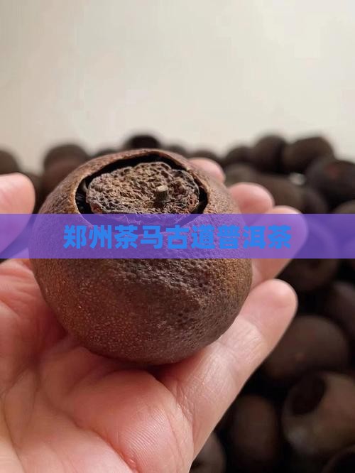 郑州茶马古道普洱茶