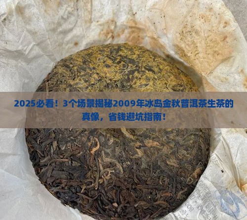 2009年冰岛金秋普洱茶生茶