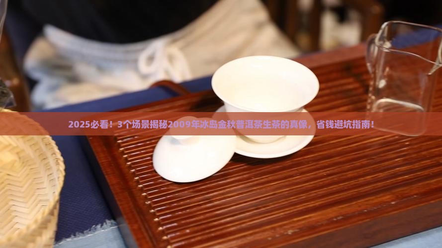 2009年冰岛金秋普洱茶生茶