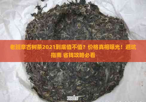 老班章古树茶2021价格
