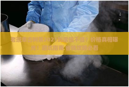老班章古树茶2021价格