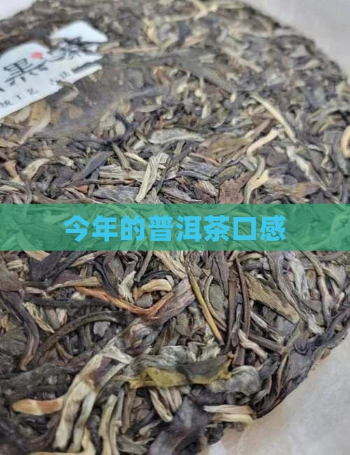 今年的普洱茶口感