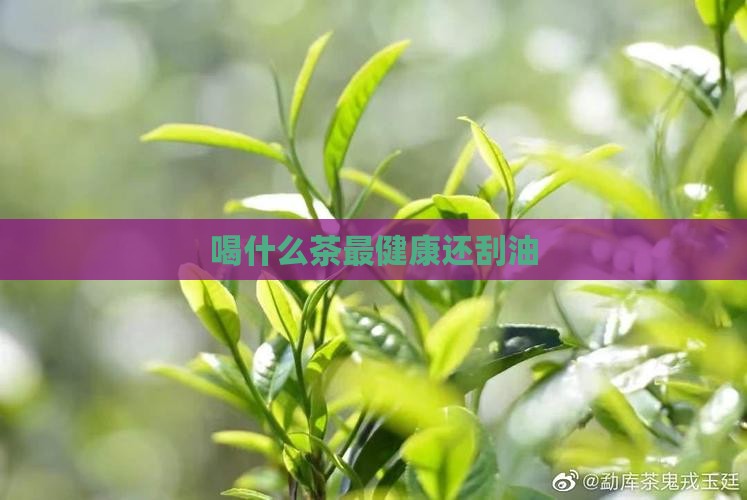 喝什么茶最健康还刮油