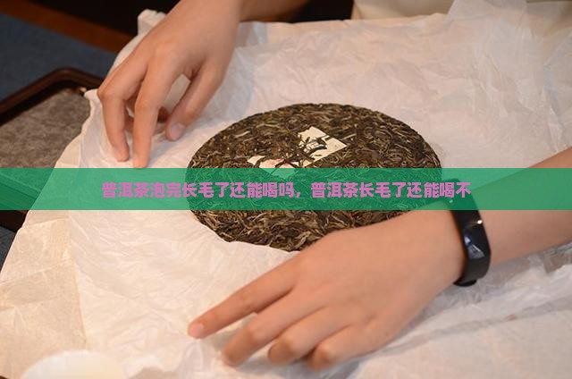 普洱茶泡完长毛了还能喝吗