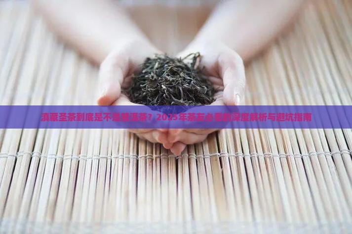滇藏圣茶属于普洱茶吗