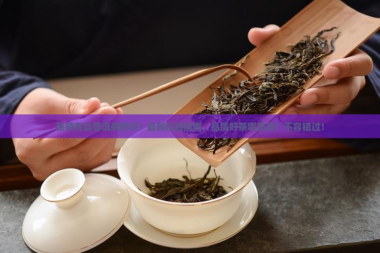 张掖有卖普洱茶的吗