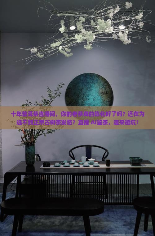 十年普洱茶直播间 十年普洱茶直播间