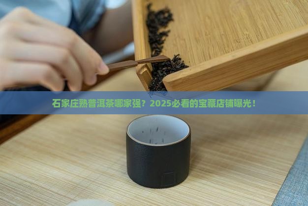 石家庄熟普洱茶哪家好