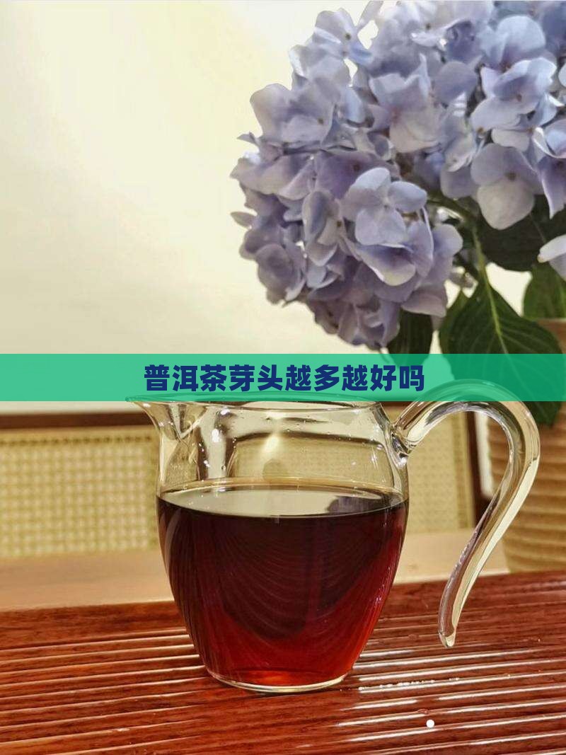 普洱茶芽头多吗