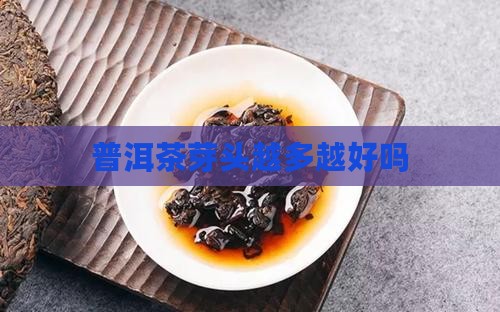 普洱茶芽头多吗