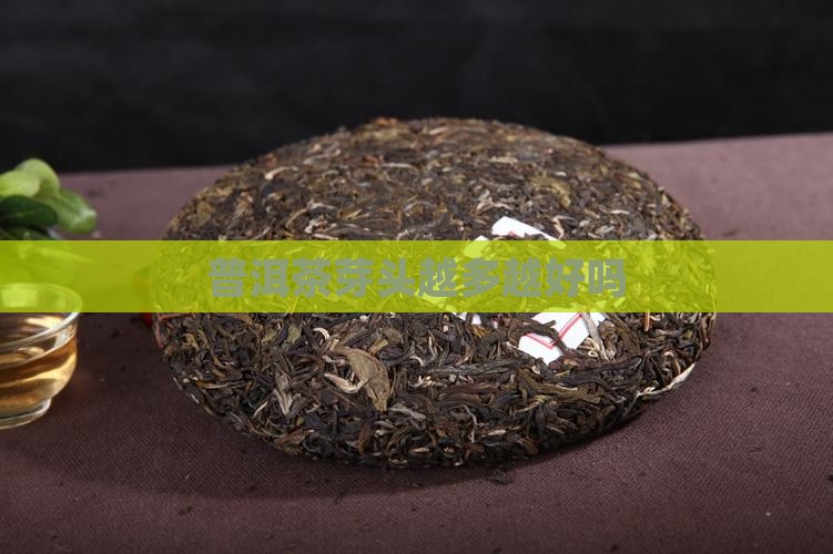 普洱茶芽头多吗