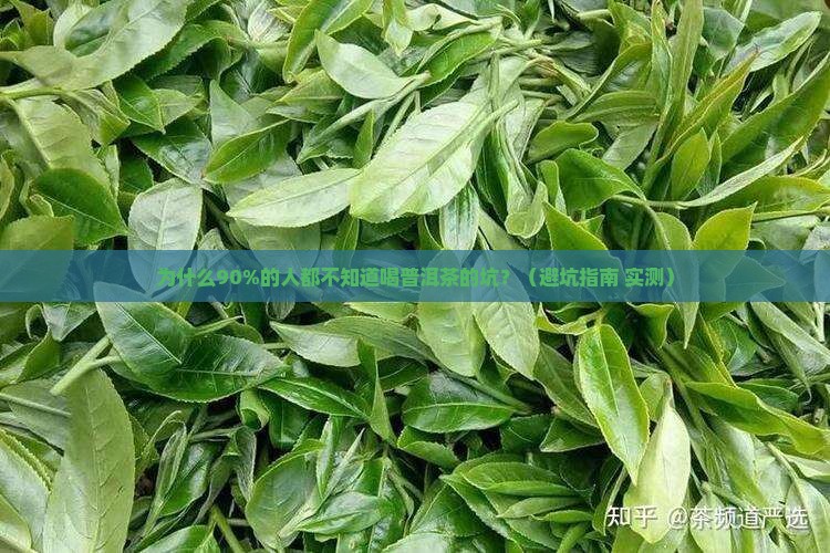 为什么建议不要喝普洱茶