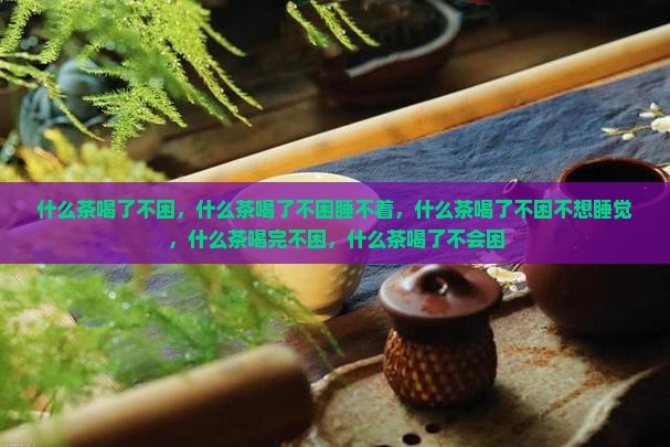 什么茶喝了不困