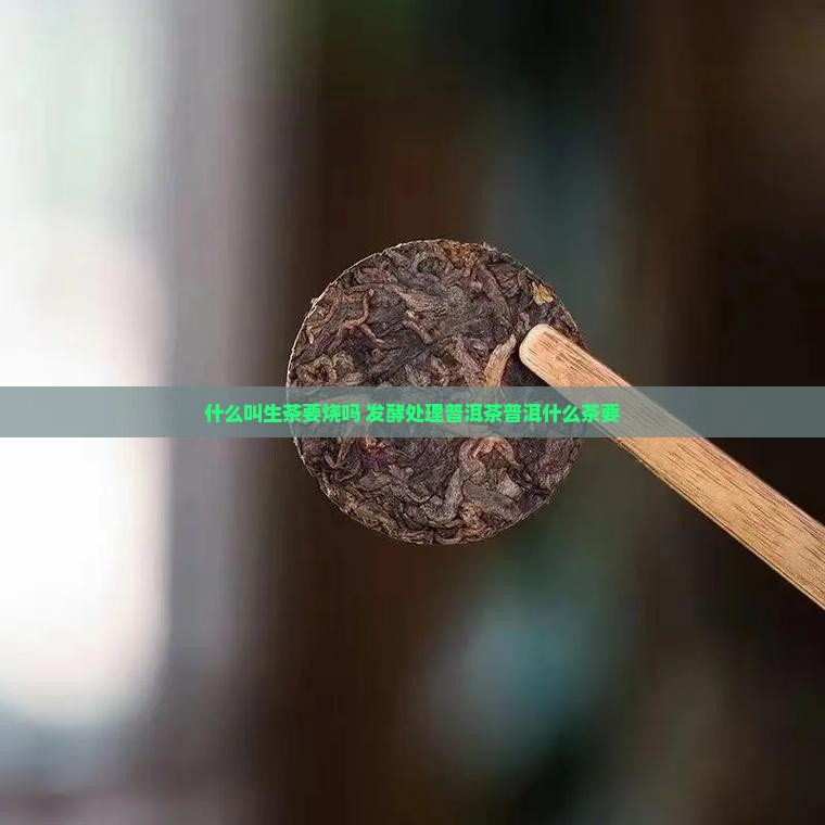 什么叫生茶要烧吗