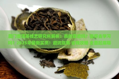 厦门普洱茶技艺研究所怎么样