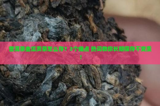 普洱茶金瓜贡茶怎样存放