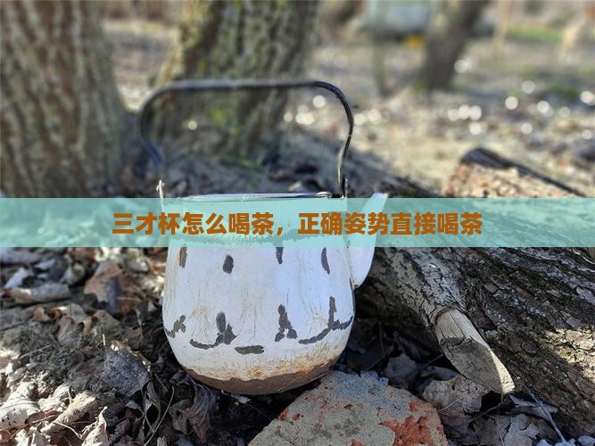 三才杯怎么喝茶