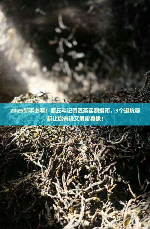 商丘斗记普洱茶