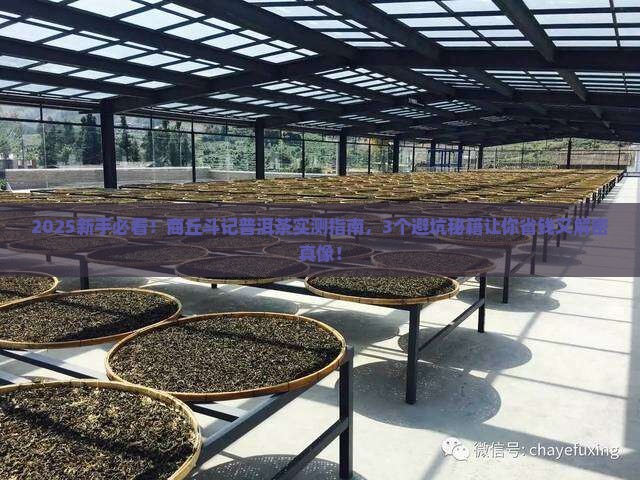 商丘斗记普洱茶