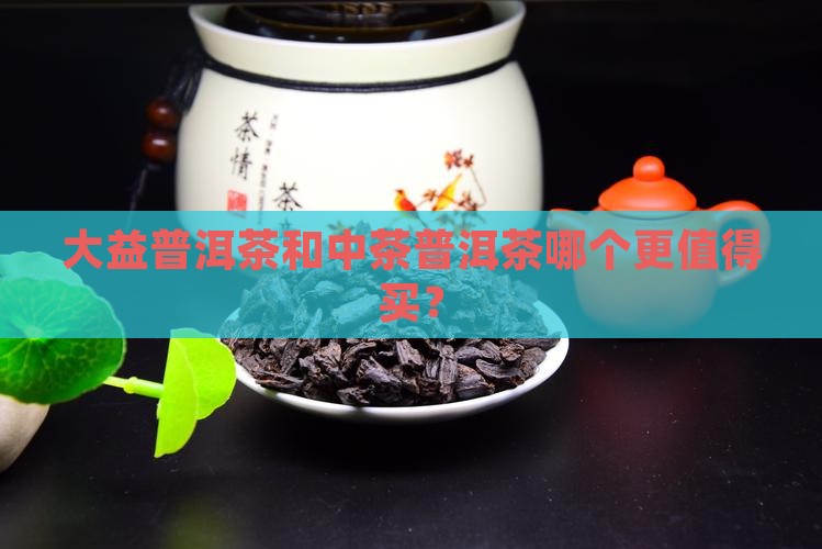 大益普洱茶和中茶普洱茶