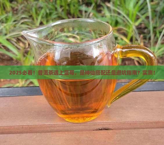 普洱茶和蓝莓能一起吃吗
