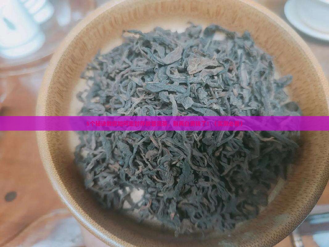 广东密封存放普洱茶