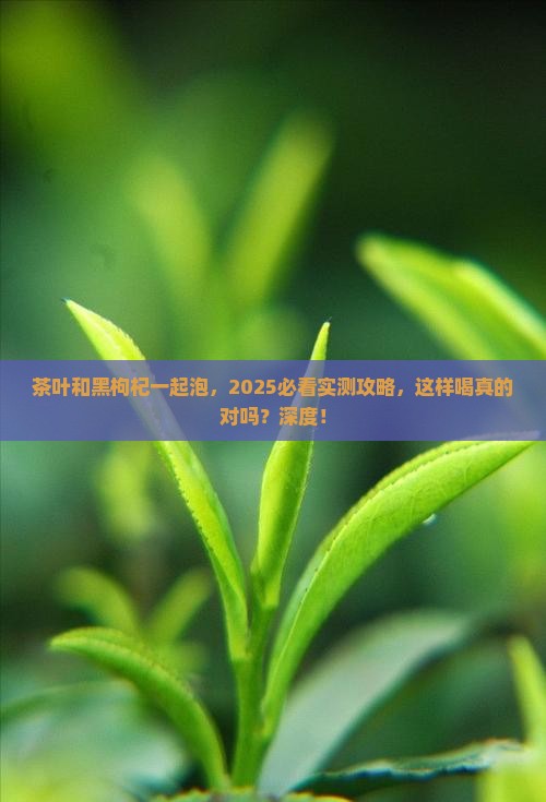 茶叶能喝黑枸杞一起泡吗