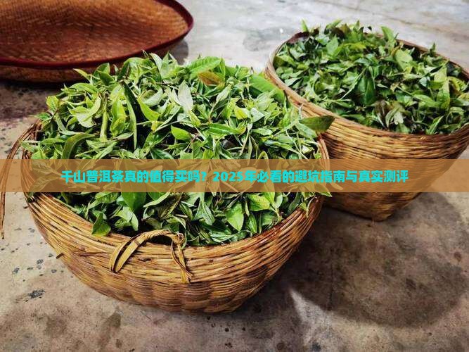 千山普洱茶品牌
