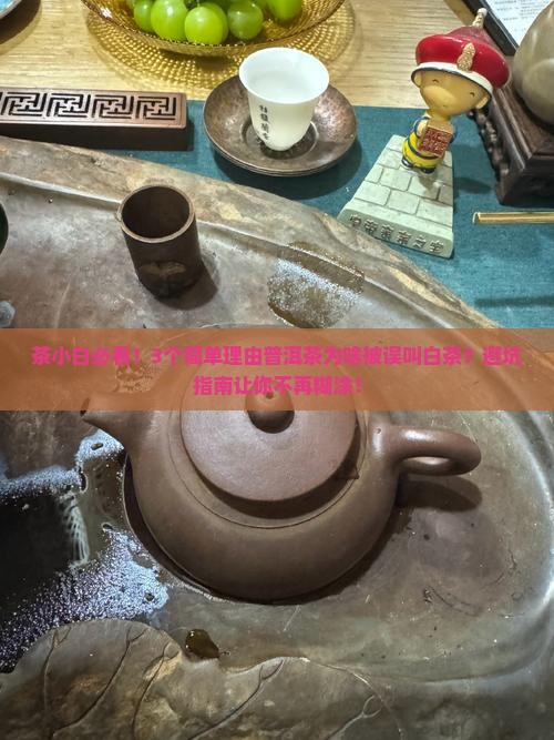 普洱茶为什么是白茶