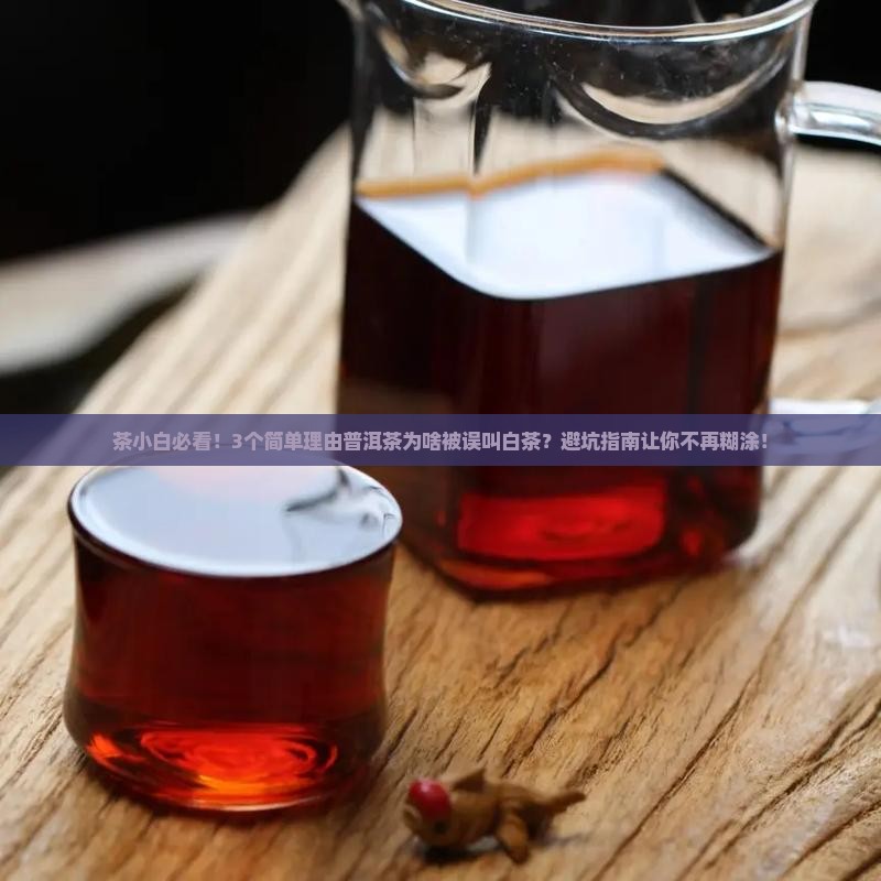 普洱茶为什么是白茶