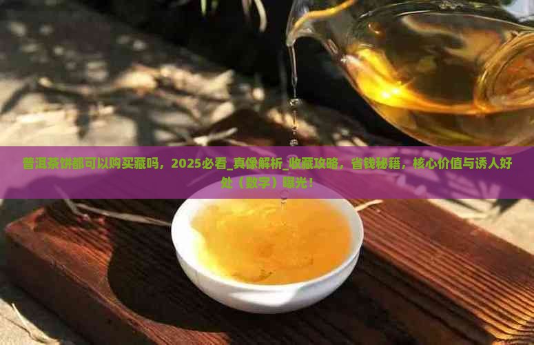 普洱茶饼都可以购买藏吗