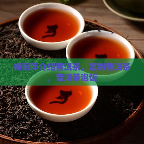 杨丽萍介绍普洱茶
