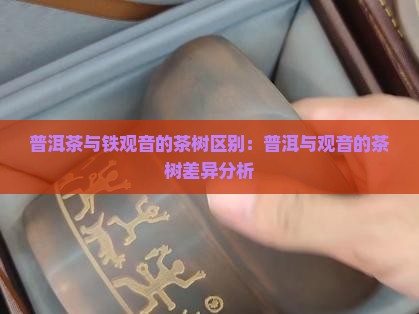 普洱茶跟铁观音的茶树一样吗