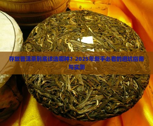 存放哪种普洱茶好