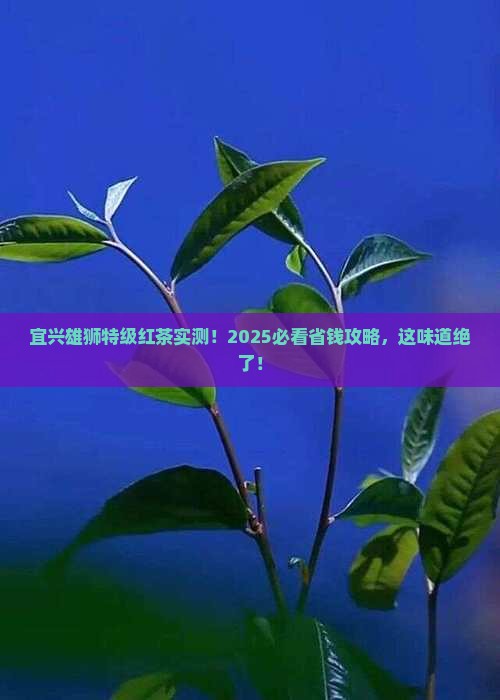 宜兴雄狮特级红茶