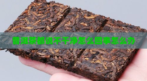 普洱茶都说不干净