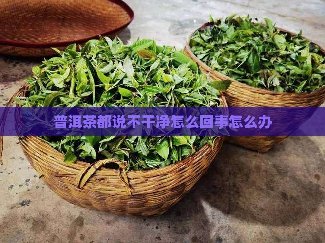 普洱茶都说不干净